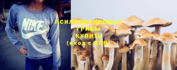 дмт Белоозёрский