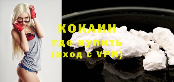 ГАЛЛЮЦИНОГЕННЫЕ ГРИБЫ Сатка
