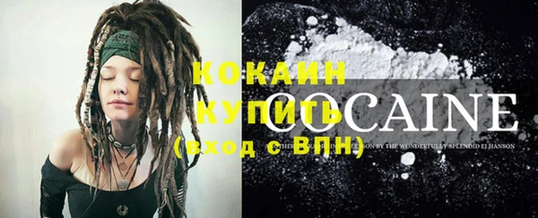 крисы Белокуриха
