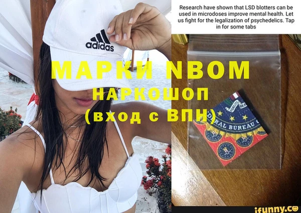 крисы Белокуриха