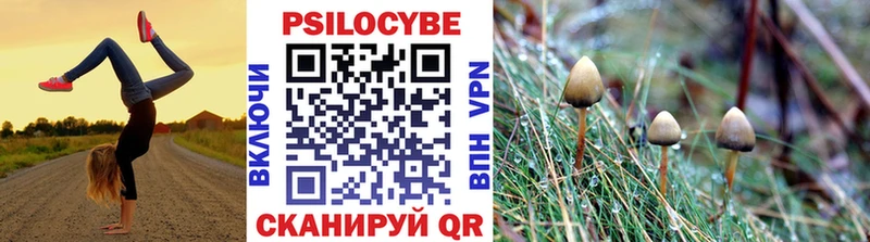 Псилоцибиновые грибы прущие грибы Нововоронеж