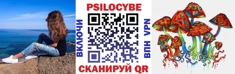 Псилоцибиновые грибы GOLDEN TEACHER где найти наркотики Нововоронеж
